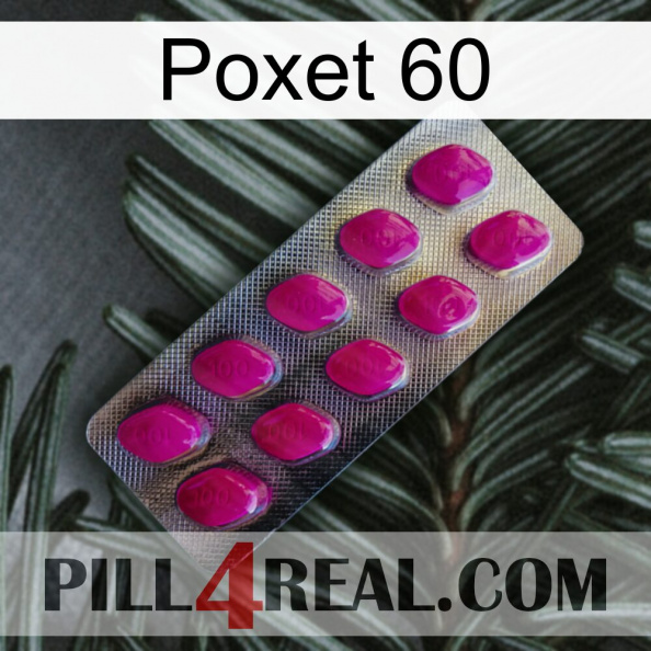 Poxet 60 09.jpg